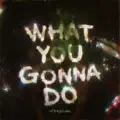 What You Gonna Do