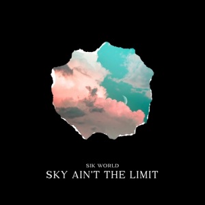 Sky Ain't The Limit - Single