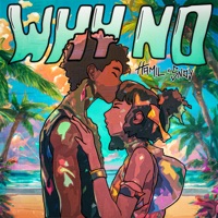 Why No - Single - Hamil & sndy