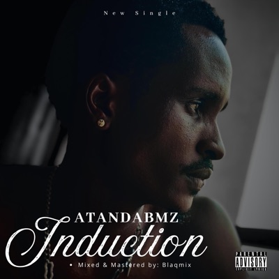 INDUCTION - Single