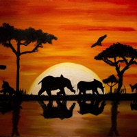 Bongo Africa - Single - Kivanc Onder