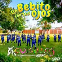 UN BEBITO CON TUS OJOS — CUISILLOS
