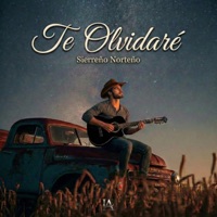 TE OLVIDARE (SIERREÑO NORTEÑO) - Single - Leandro Antonio