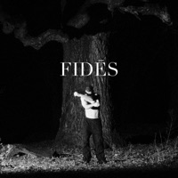 Fidēs - Hillmer