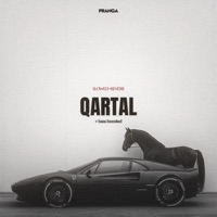 Qartal (Slowed-Reverb) - Single - Pranga
