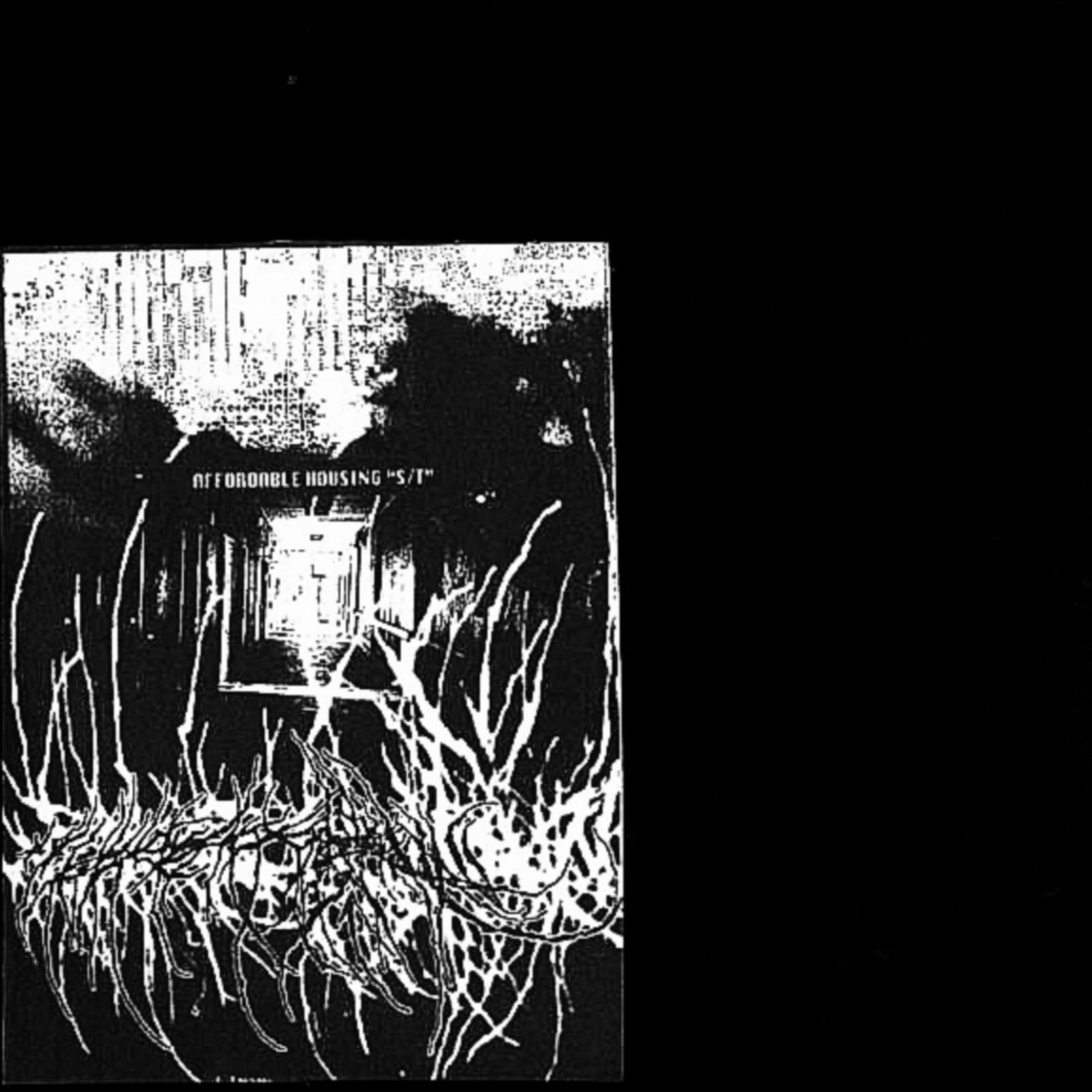 S / T