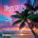 Fuji Nyt - Single