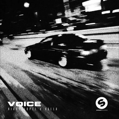 VOICE (feat. VALLA) - Single