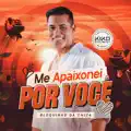 Me Apaixonei por Você
