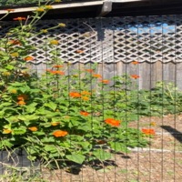 I Forgot To Give You This - Single - Yung Blunt$