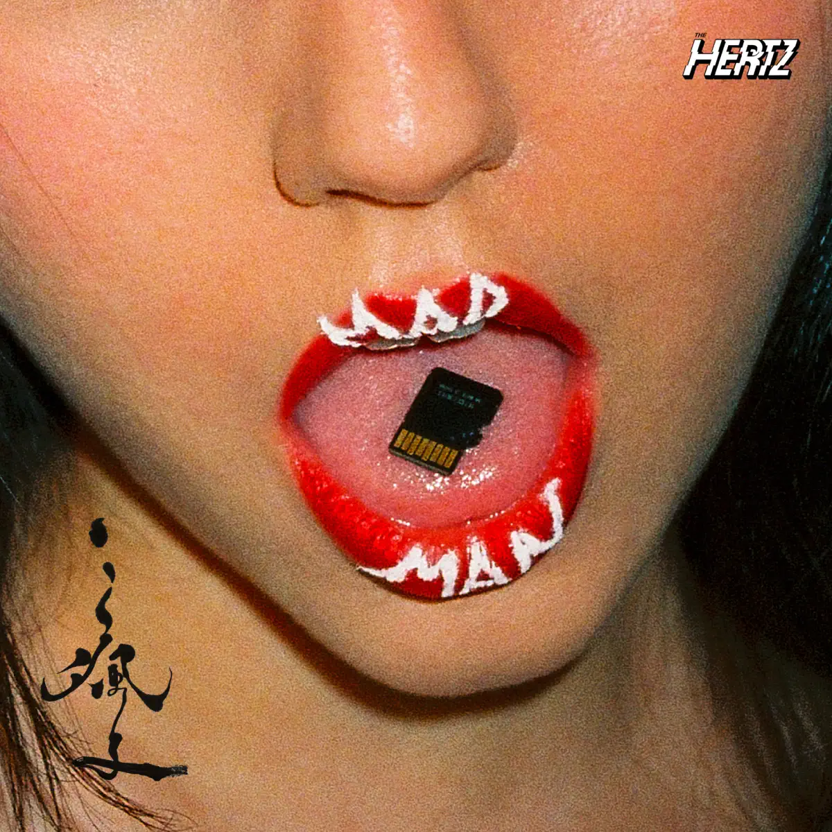 The Hertz - 瘋子 - Single (2024) [iTunes Plus AAC M4A]-新房子