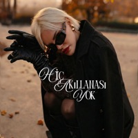 HİÇ AKILLANASI YOK