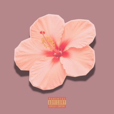 FEMININE FREESTYLE (feat. Newty) - Single