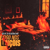 Fogo nos Lençóis - Single - DJ oliveira 048 & MC Nt