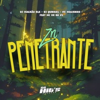 ZN Penetrante (feat. MC VK DA VS & Só Hits Records) - Single - DJ MAGRÃO RLK, DJ QUINHAS & Mc Magrinho