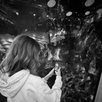 Basics - Single - Leif