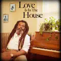 Never Had A Love