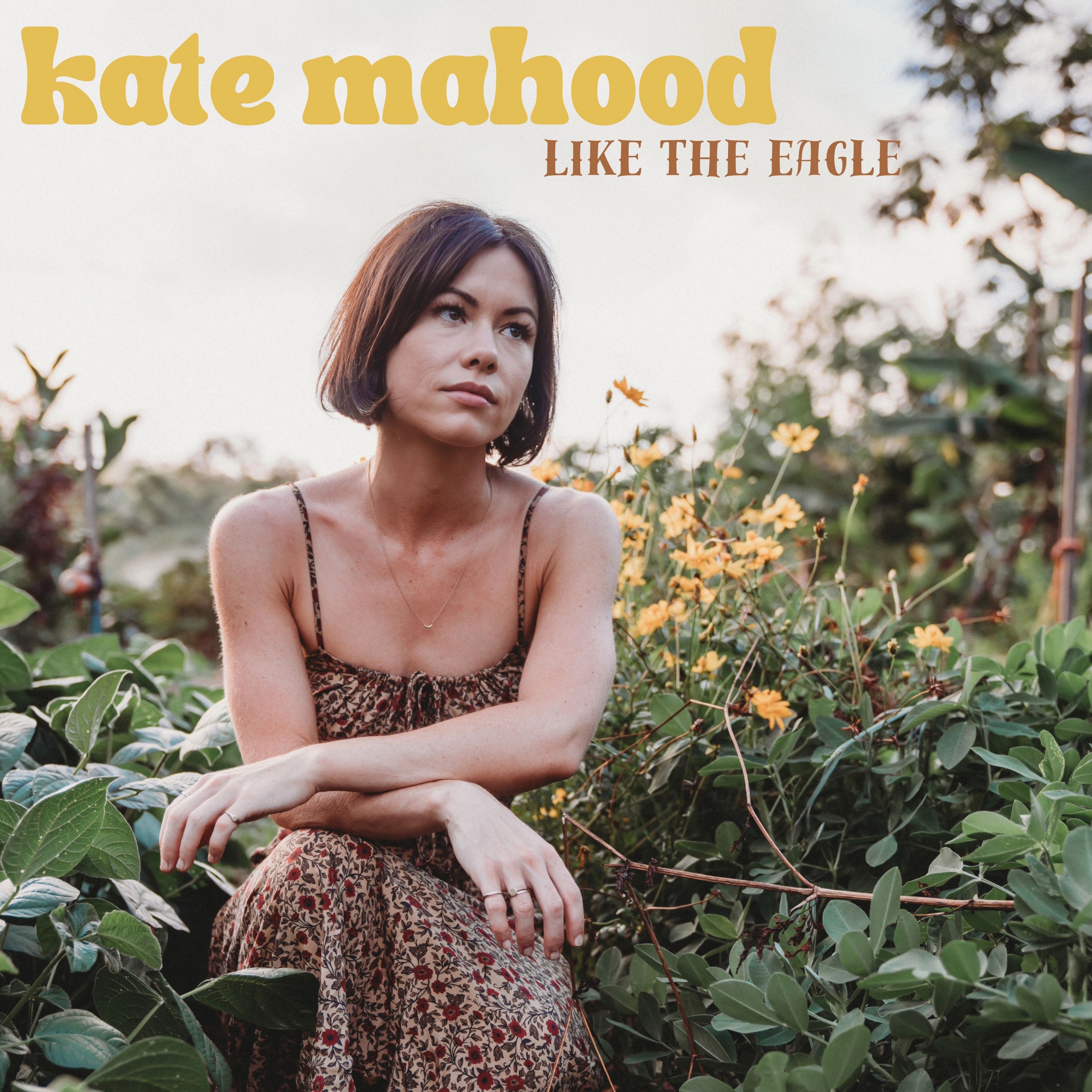 Like The Eagle - Single