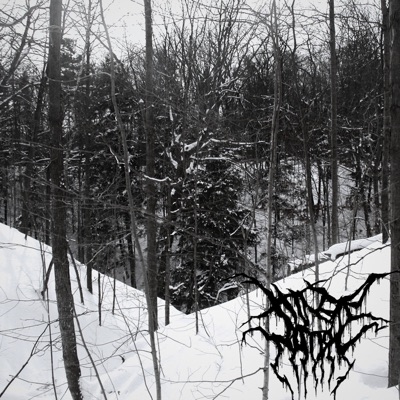 The Cold (Split with Feeble Call) - Single