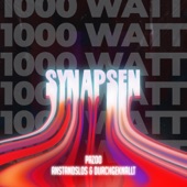 Synapsen 1000 Watt artwork