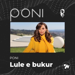 Lule e bukur