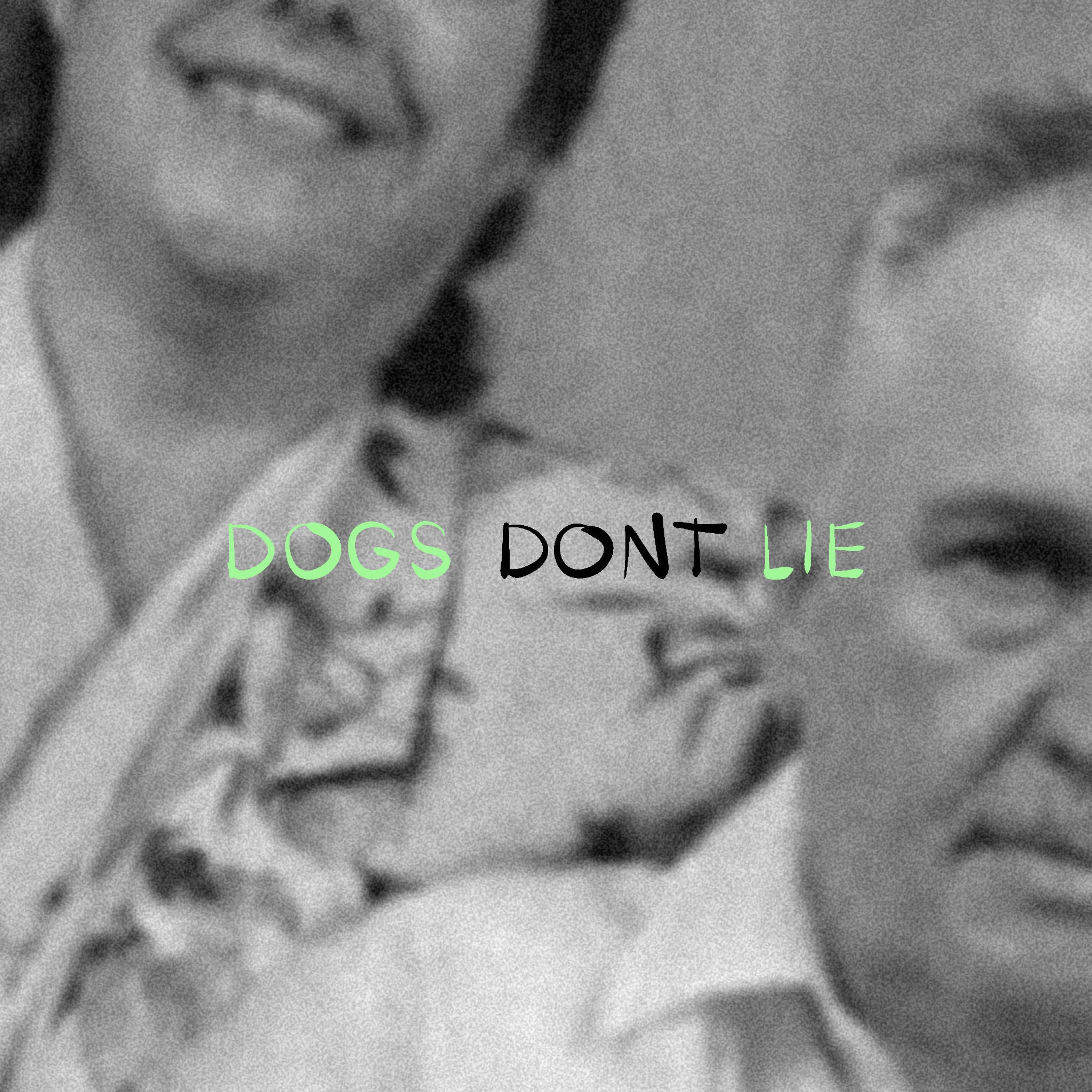 DOGS DONT LIE - Single