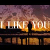 I Like You - Single