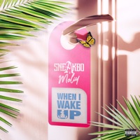 When I Wake Up (feat. Moliy) - Single - Sneakbo