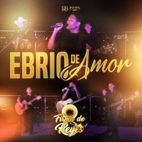 Ebrio De Amor (En vivo) - Single - Firma De Reyes
