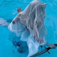 Top - Single - 14kBird