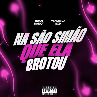 NA SÃO SIMÃO QUE ELA BROTOU - Single