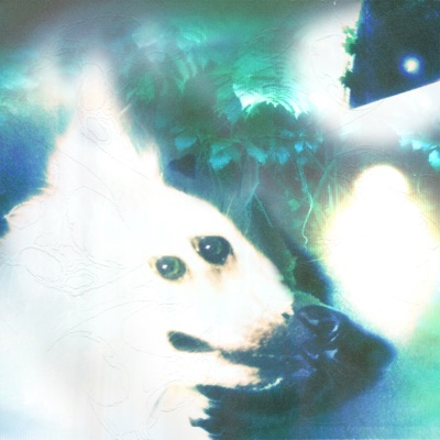 Moon's Out - Single