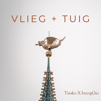 Vlieg + tuig (feat. IncogGio & Thayro) - Single