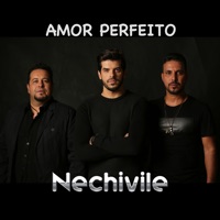Amor Perfeito (Acústico) - Single - Nechivile