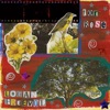 Caroline Rose For Rose (feat. Caroline Carter) For Rose (feat. Caroline Carter) - Single