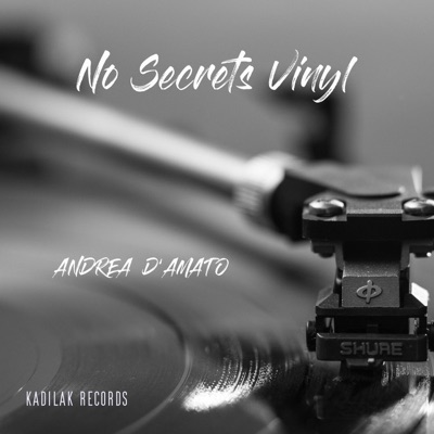 No Secrets Vinyl - Single