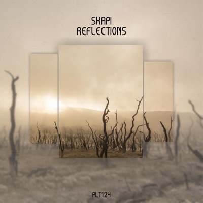 Reflections - Single