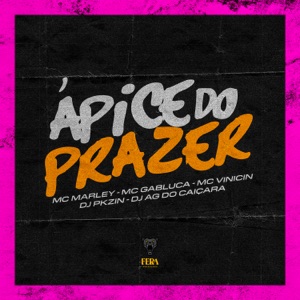 Ápice do Prazer (feat. Dj AG do Caiçara)