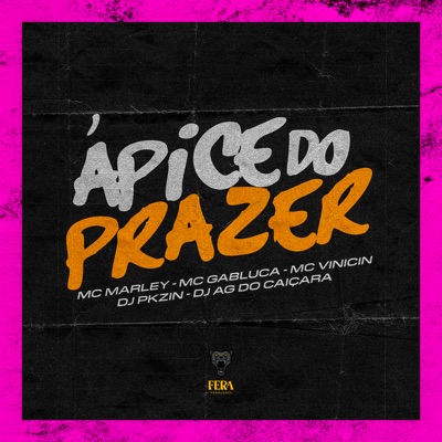 Ápice do Prazer (feat. Dj AG do Caiçara) - Single