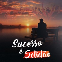 Sucesso É Solidão - Single - LP Maromba & Diego Thekking