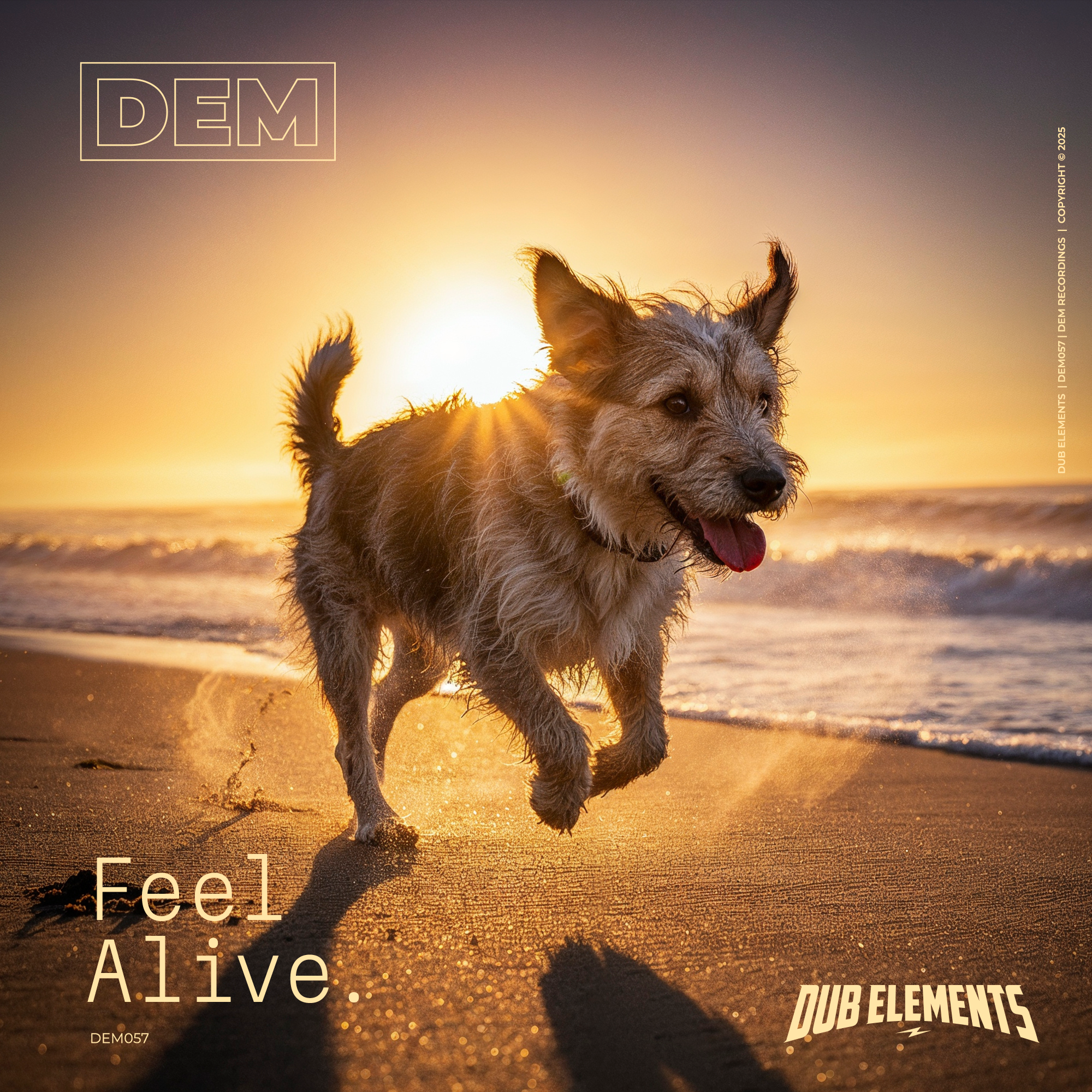 Feel Alive - Single