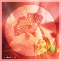 Pachamama (feat. Emilia Garth) - EP - Ella Romand