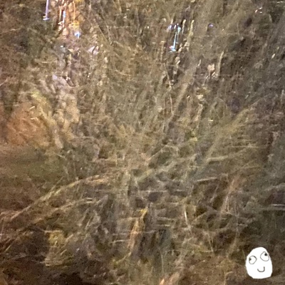 Found My Voice Again - Single