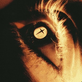 YOUREYES mzet