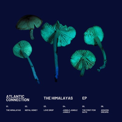 The Himalayas EP - EP