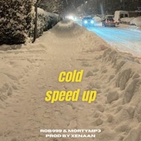 Cold speed up - Single - Rob999 & Mortymp3