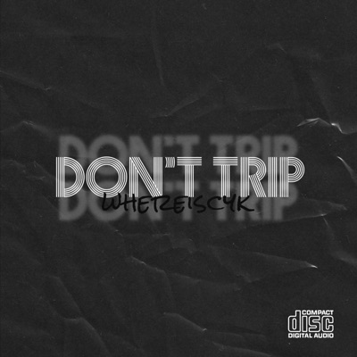 Don't Trip - Single