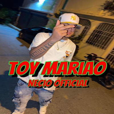 Toy mariao - Single
