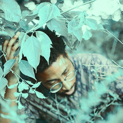 Greenhouse (Deluxe)