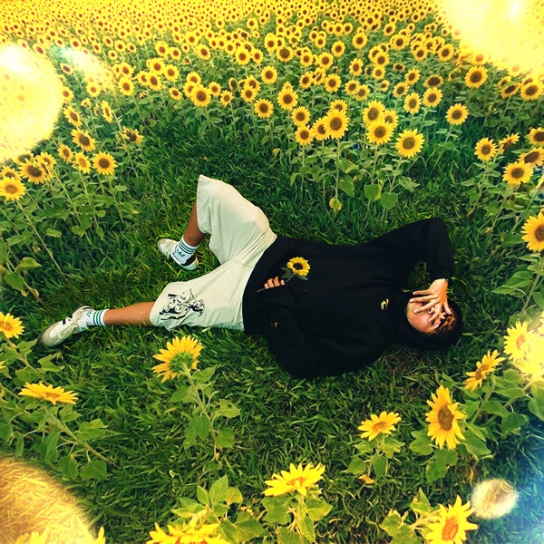 Santuario de Girasol